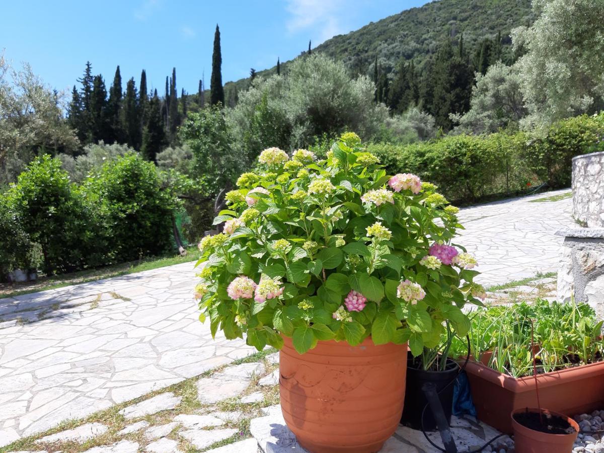 Korakias Seaview Villa Yénion Eksteriør bilde